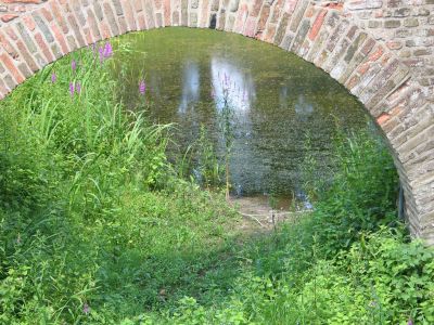 through arch